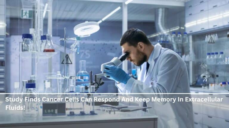 Study Finds Cancer Cells Can Respond And Keep  Memory In Extracellular Fluids!