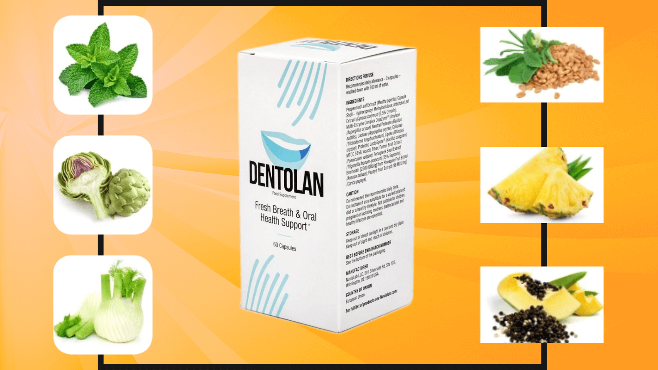 Dentolan Ingredients