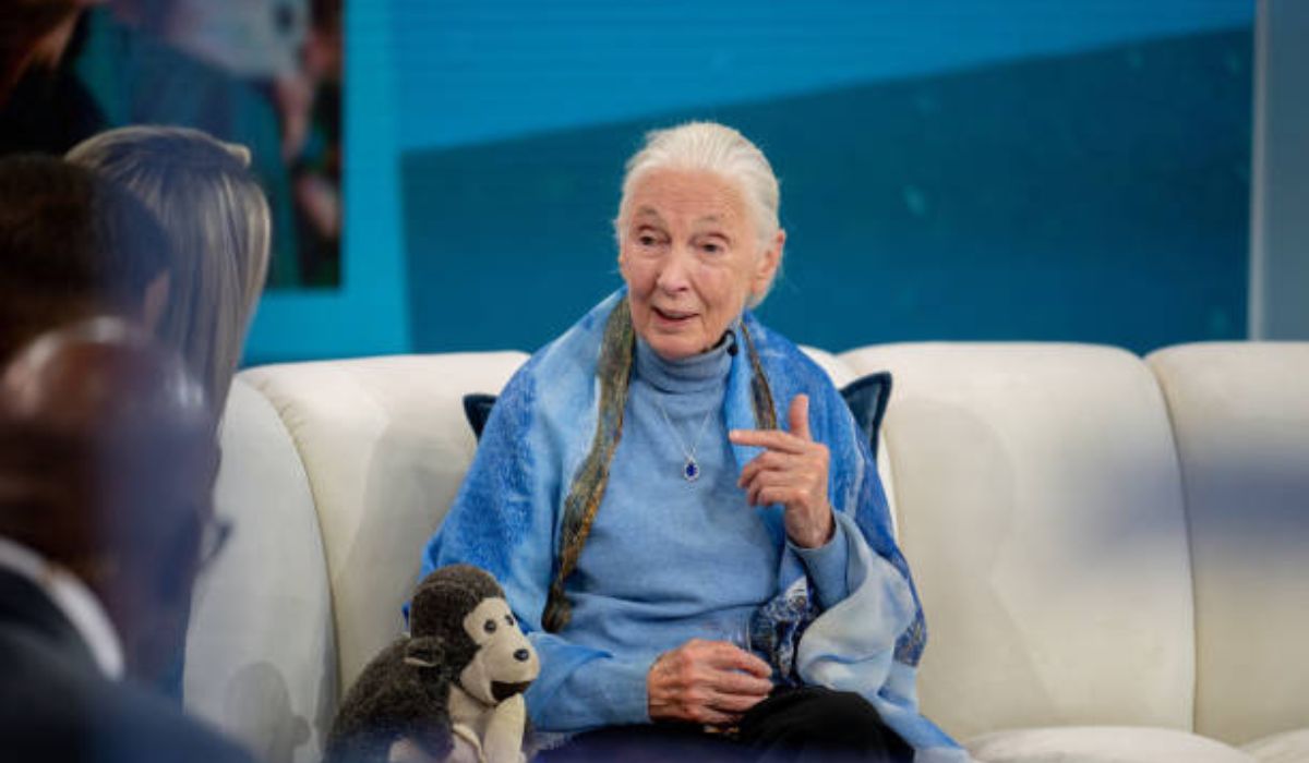 Jane Goodall: A Life of Empathy, Curiosity and Courage